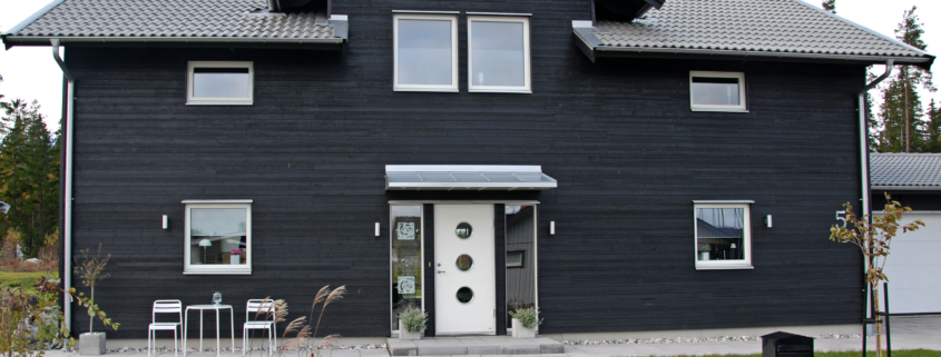 Taksäkerhet Entrétak